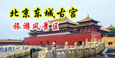 美女超B免费视频中国北京-东城古宫旅游风景区