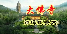欧洲大鸡巴插骚逼中国浙江-新昌大佛寺旅游风景区
